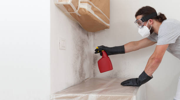 Professional Attic Mold Remediation technician working in DeLand, FL