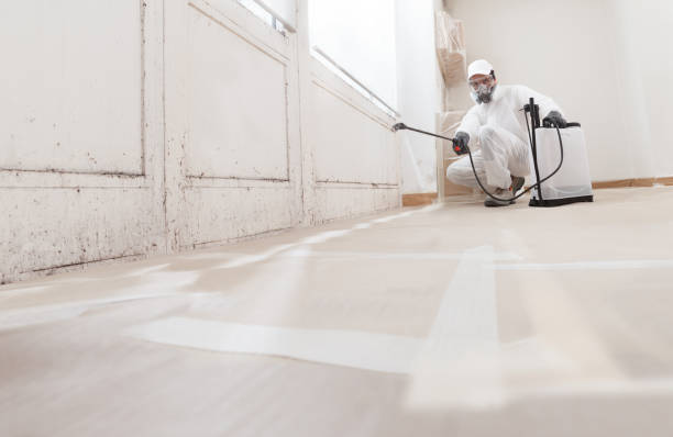 24/7 Emergency Attic Mold Remediation experts in DeLand, FL