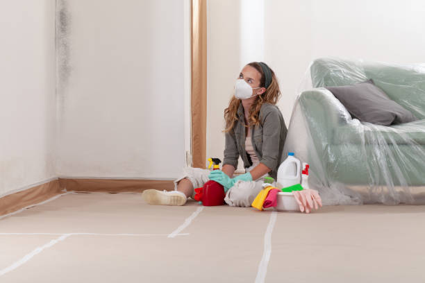 Reliable Attic Mold Remediation contractor in DeLand, FL by 24 Hour Mold Removal